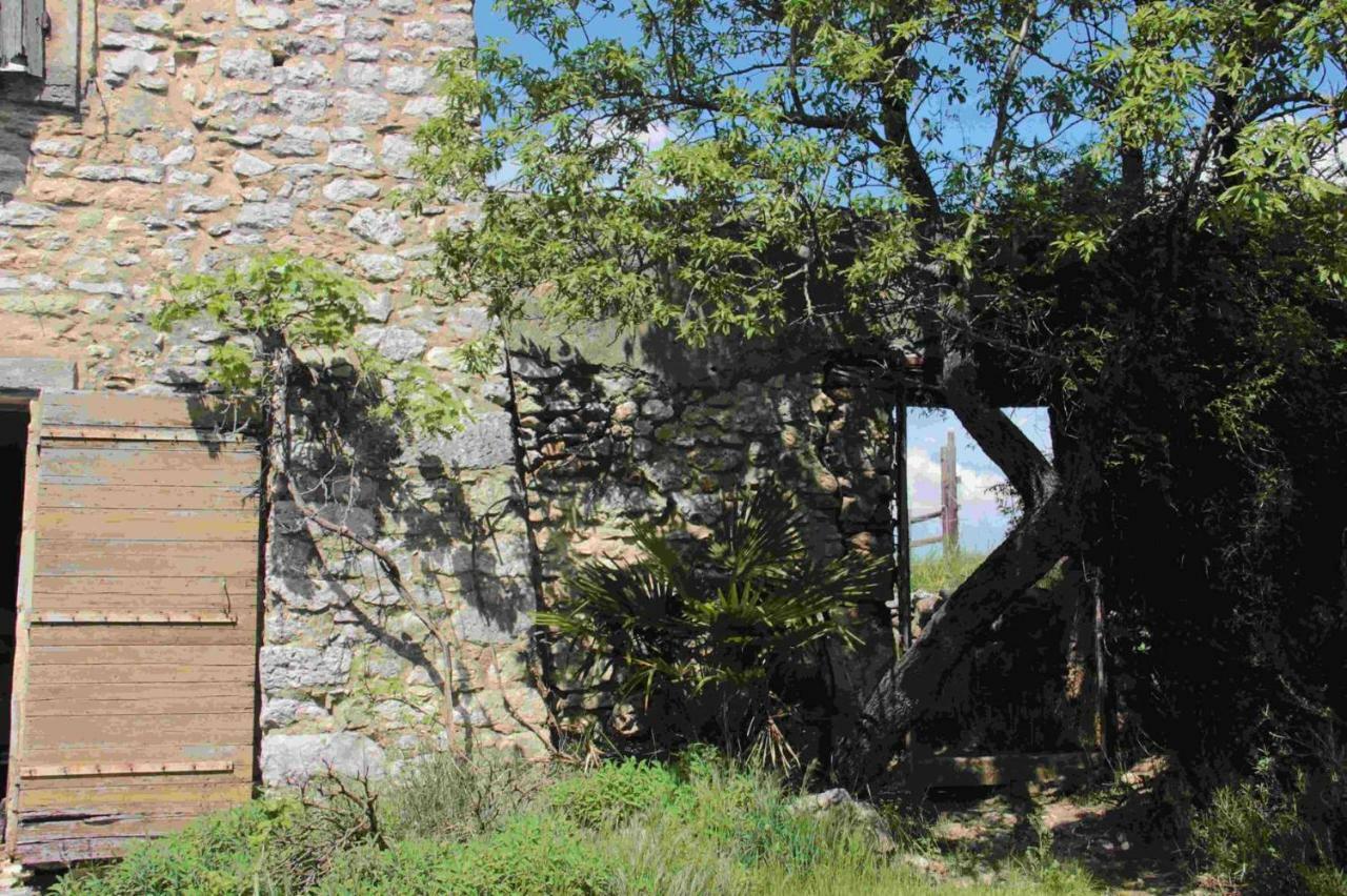 Studio Gard Calme Et Nature Russan 외부 사진