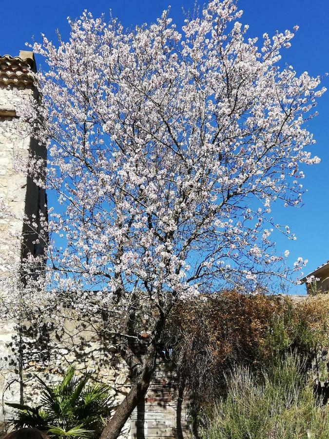 Studio Gard Calme Et Nature Russan 외부 사진