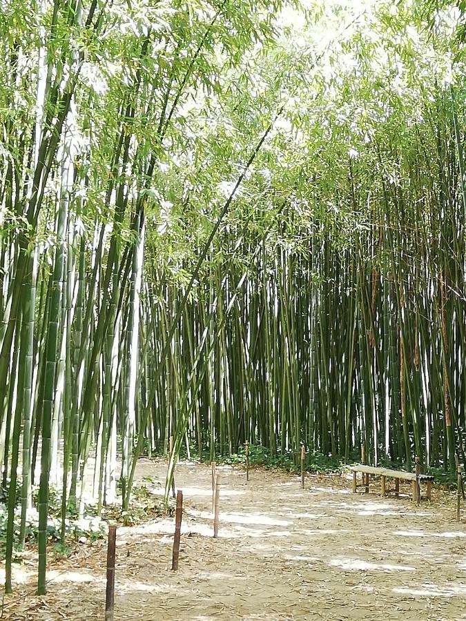 Studio Gard Calme Et Nature Russan 외부 사진